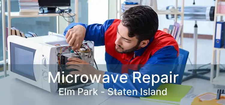 Microwave Repair Elm Park - Staten Island