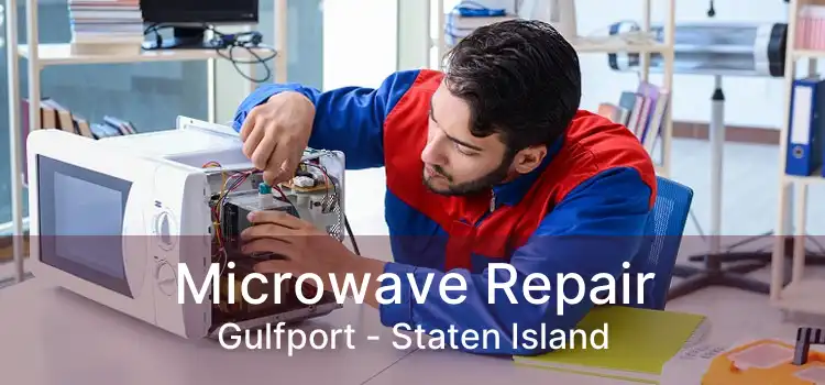 Microwave Repair Gulfport - Staten Island