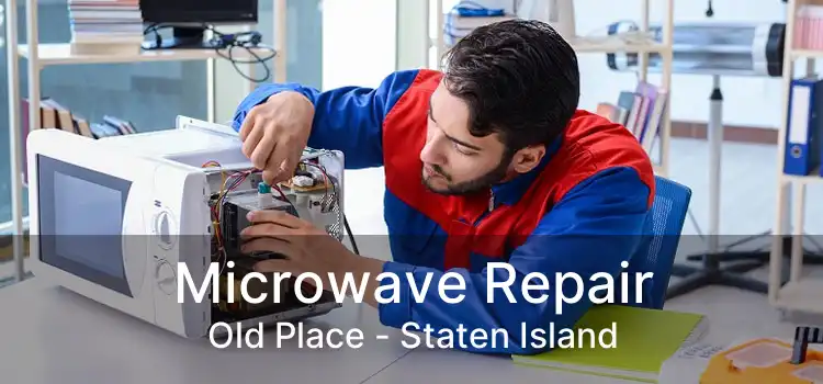 Microwave Repair Old Place - Staten Island