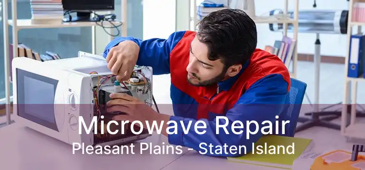 Microwave Repair Pleasant Plains - Staten Island