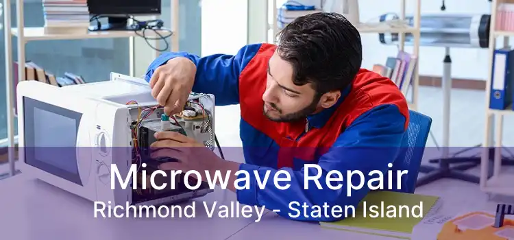 Microwave Repair Richmond Valley - Staten Island