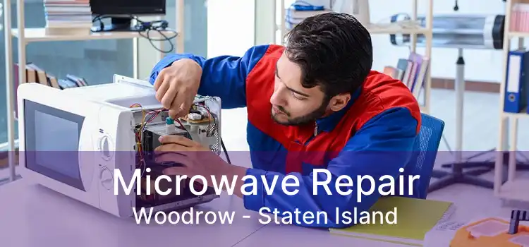 Microwave Repair Woodrow - Staten Island