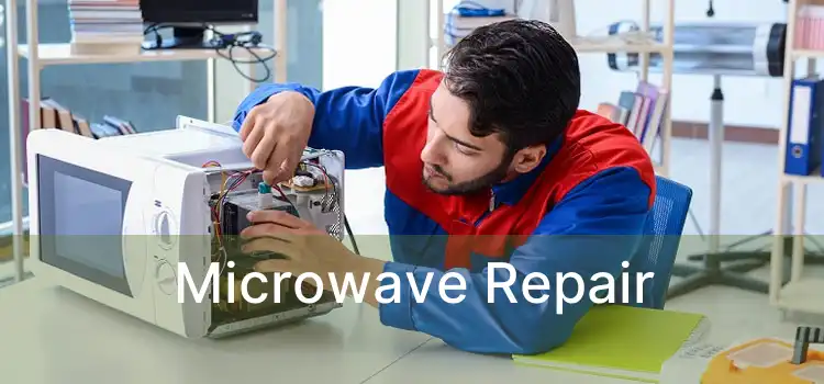 Microwave Repair 