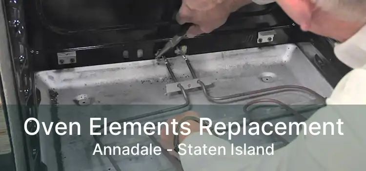 Oven Elements Replacement Annadale - Staten Island