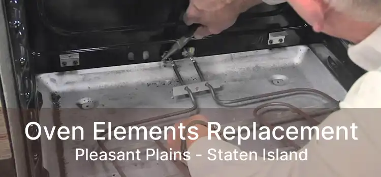 Oven Elements Replacement Pleasant Plains - Staten Island