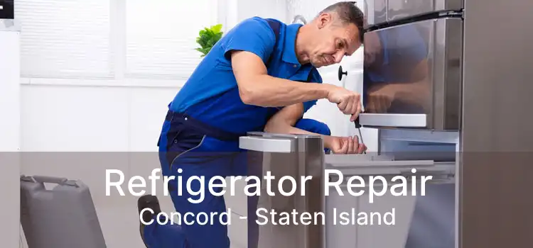 Refrigerator Repair Concord - Staten Island