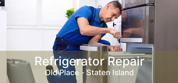 Refrigerator Repair Old Place - Staten Island