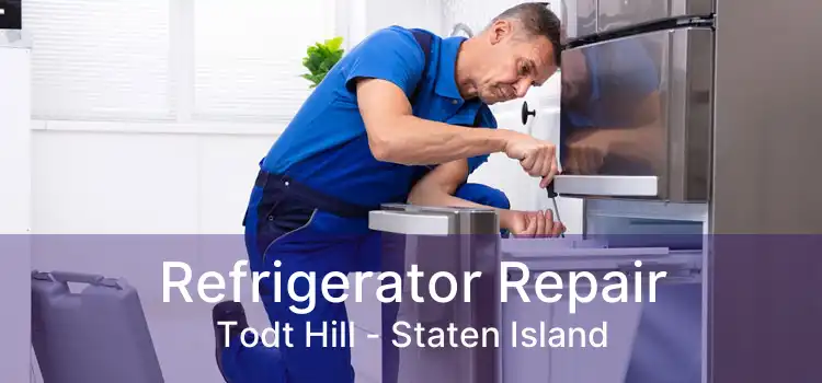 Refrigerator Repair Todt Hill - Staten Island