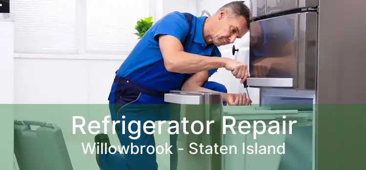 Refrigerator Repair Willowbrook - Staten Island