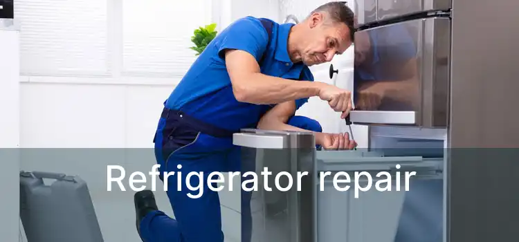 Refrigerator repair 